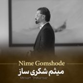 دانلود آهنگ میثم شکری ساز نیمه گمشده